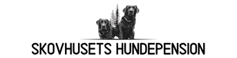 Skovhusets-Hundepension